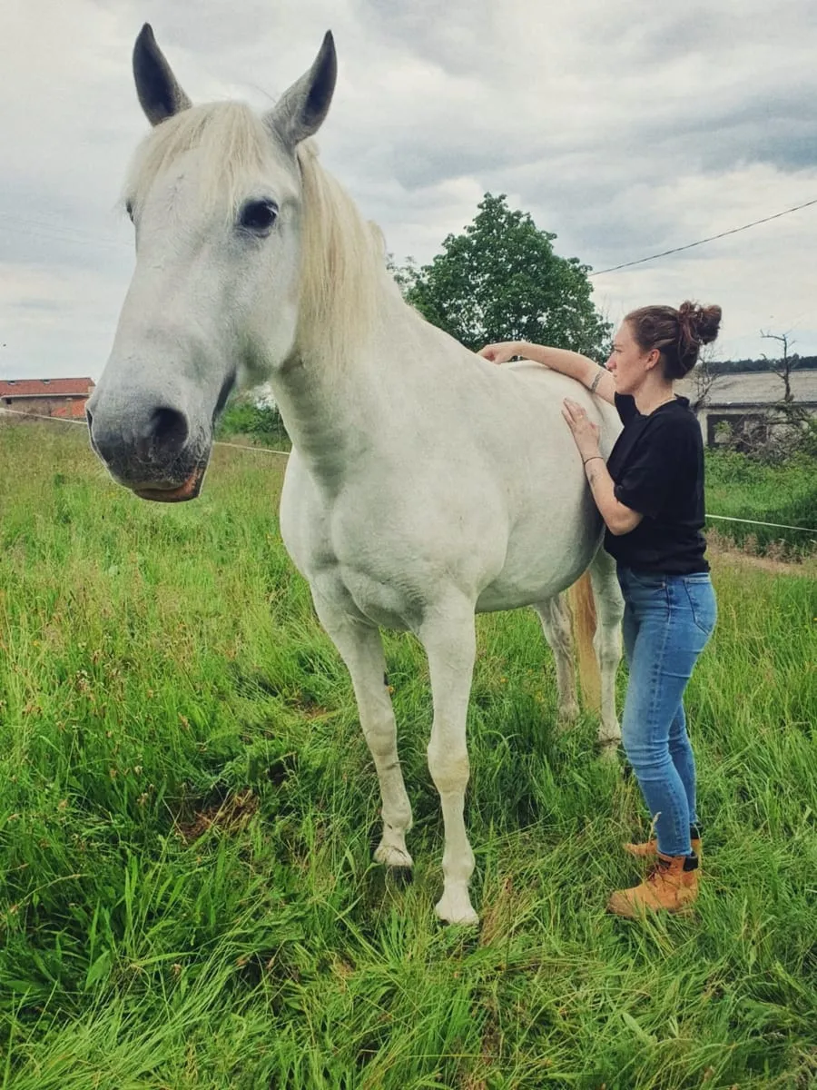 Julianne en séance avec un cheval blanc
